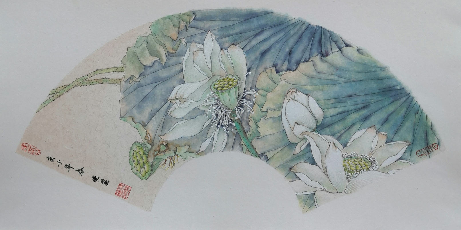 徐晓丽  《靓荷》.jpg