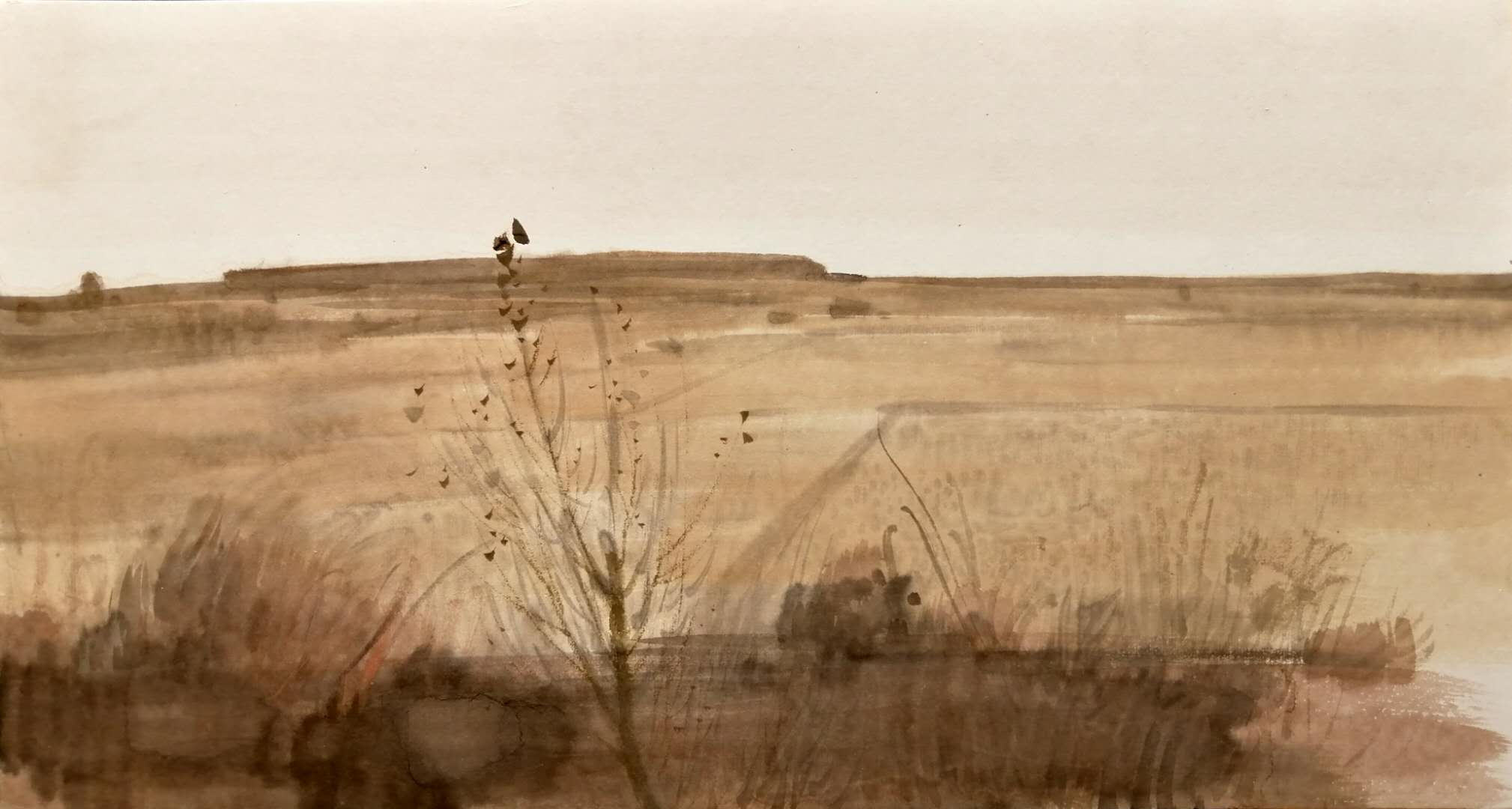 蒋博  《故乡的原野》.jpg