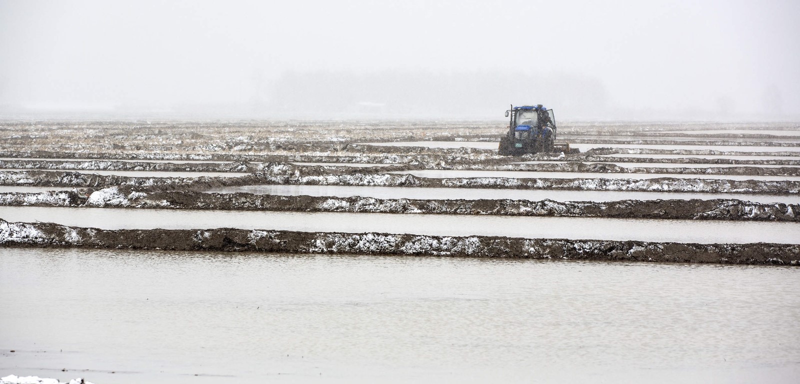 八五八农场有限公司一边抓秧田地抗低温管理，一边抓稻田水整地进度。【林博全 摄】 (3).jpg