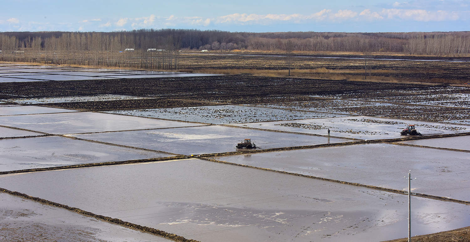 八五六每天投入1000多台机车整地作业【黄永兴 摄】.jpg