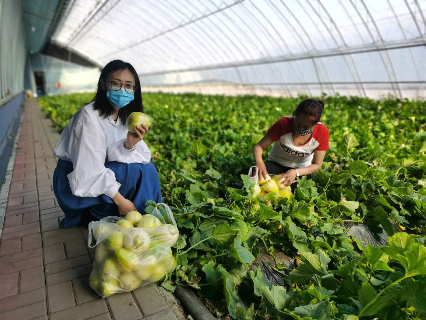 北大荒股份宝泉岭分公司防疫生产两不误【周嶶 摄】.jpg