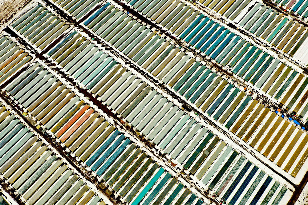 春雪后的北大荒股份友谊分公司水稻生产大棚蔚为壮观。【 张宏 摄】.jpg