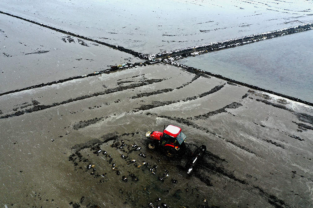 黑龙江垦区利用晴好天气进行水田施肥，机械作业省时省力，作业效率高，施肥面广、均匀，节约了种植成本，为下一步水稻插秧做好生产准备。图为北大荒股份友谊分公司种植户正在利用水田机械扬肥机进行施肥作业。【徐宏宇 张宏 摄】 (3).JPG
