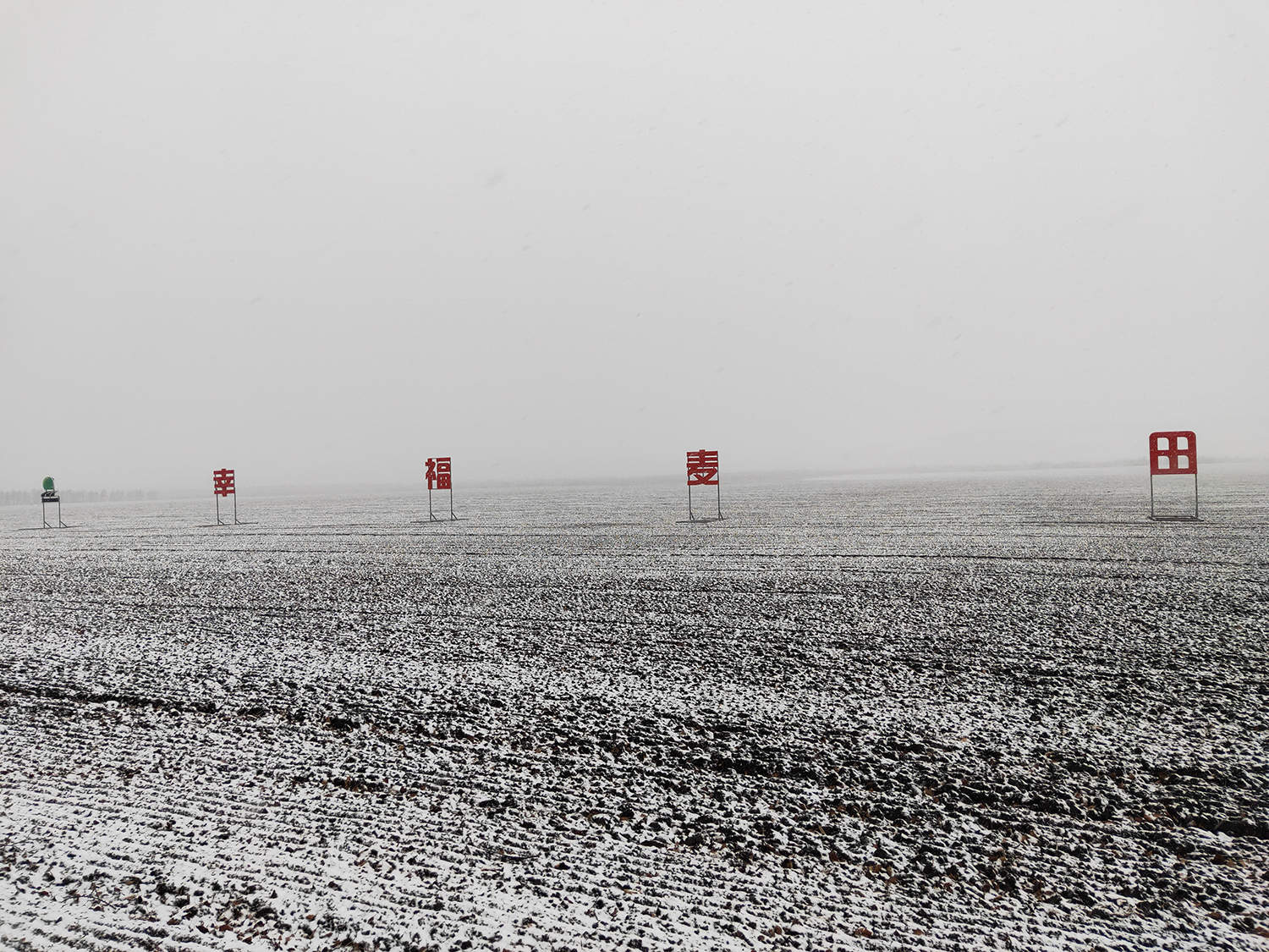 建边农场2万亩小麦全部播在高产期，播种后迎来雨夹雪促发芽保全苗。【魏志国 摄】.jpg