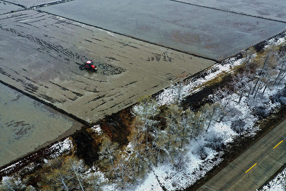 黑龙江垦区利用晴好天气进行水田施肥，机械作业省时省力，作业效率高，施肥面广、均匀，节约了种植成本，为下一步水稻插秧做好生产准备。图为北大荒股份友谊分公司种植户正在利用水田机械扬肥机进行施肥作业。【徐宏宇 张宏 摄】 (4).JPG