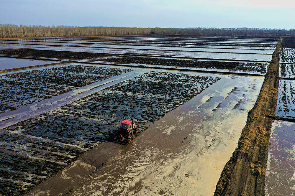 黑龙江垦区利用晴好天气进行水田施肥，机械作业省时省力，作业效率高，施肥面广、均匀，节约了种植成本，为下一步水稻插秧做好生产准备。图为北大荒股份友谊分公司种植户正在利用水田机械扬肥机进行施肥作业。【徐宏宇 张宏 摄】 (2).JPG