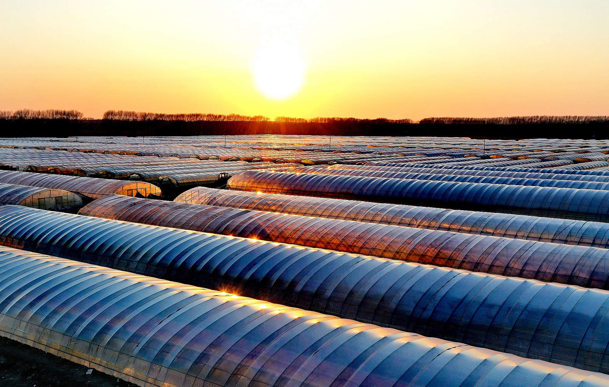 晚霞中的北大荒股份友谊分公司水稻生产大棚分外迷人。【 张宏 摄】.jpg