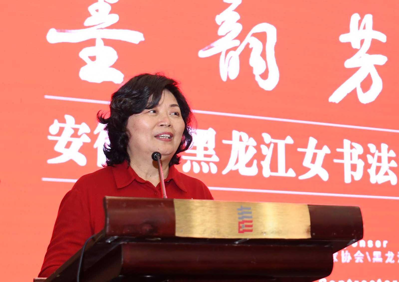 9陈萍在开幕式上.jpg 9陈萍在开幕式上.jpg