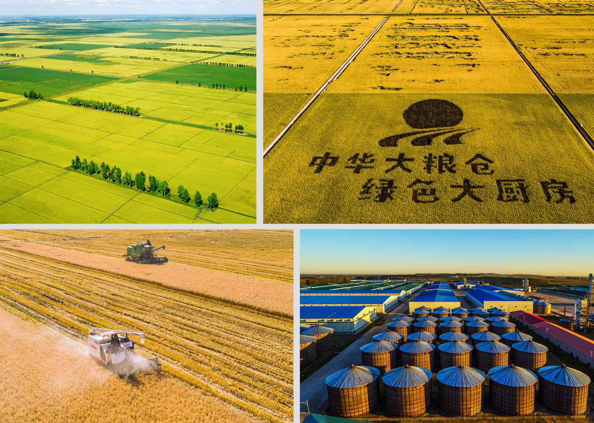 作品2、庄艳平-中国粮食 中国饭碗.jpg 作品2、庄艳平-中国粮食 中国饭碗.jpg