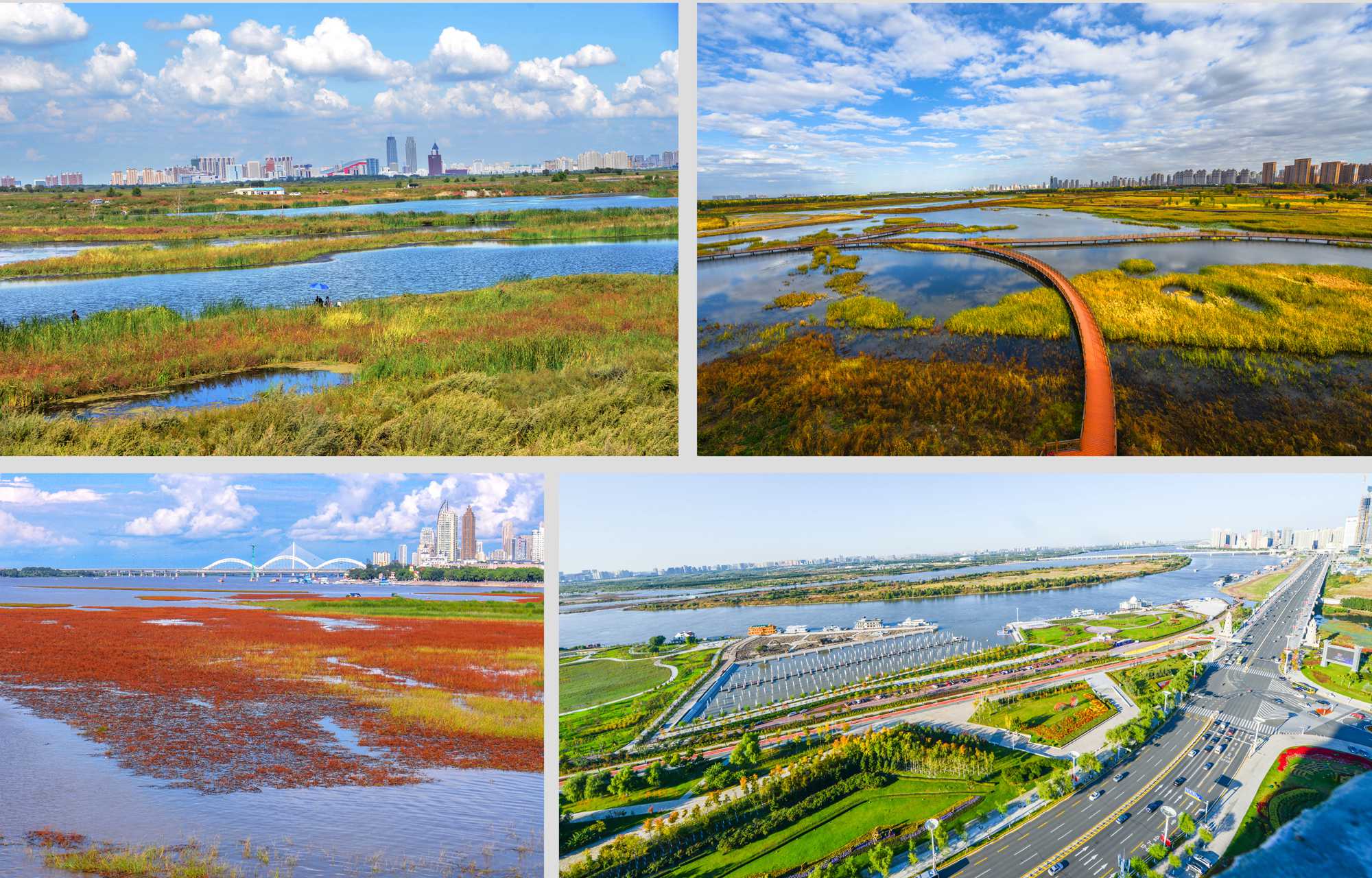 作品5、汪金铭-哈尔滨松江湿地.jpg 作品5、汪金铭-哈尔滨松江湿地.jpg