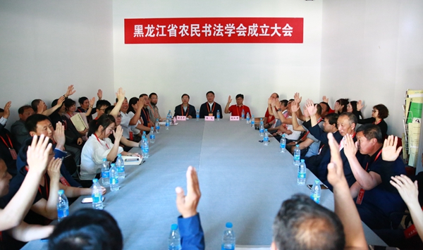 11理事会选举通过现场.jpg 11理事会选举通过现场.jpg