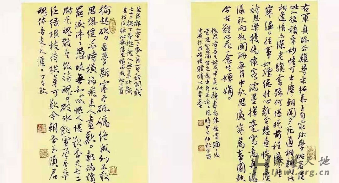 曲庆伟8 拷贝.jpg