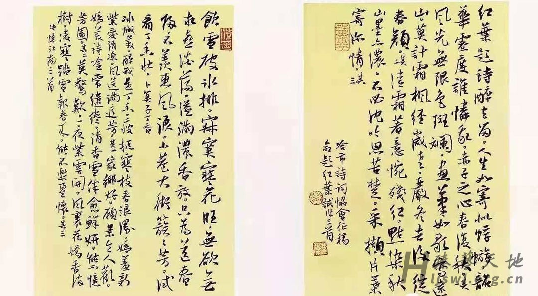 曲庆伟9 拷贝.jpg