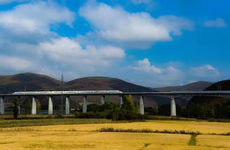 高铁到鸡西 孙秀兰.webp.jpg