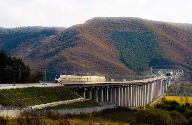 高铁到鸡西 谢英.webp.jpg