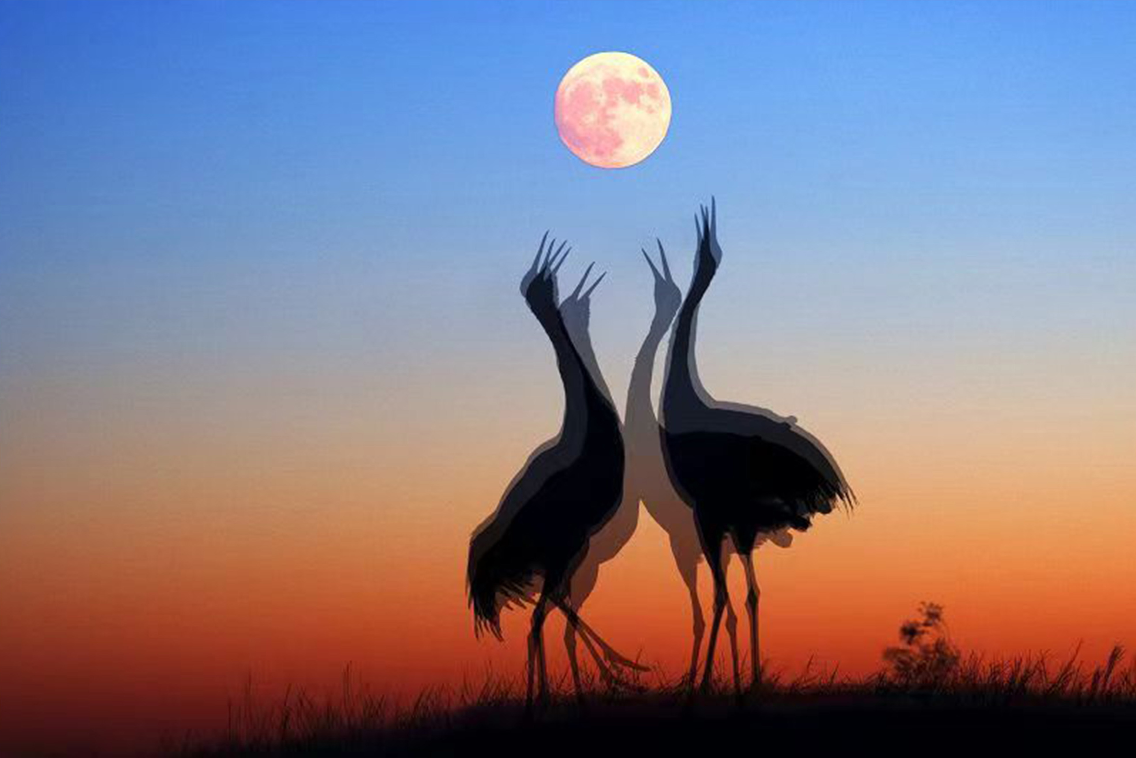 17--《璀璨月色》 潘嵩毅.jpg