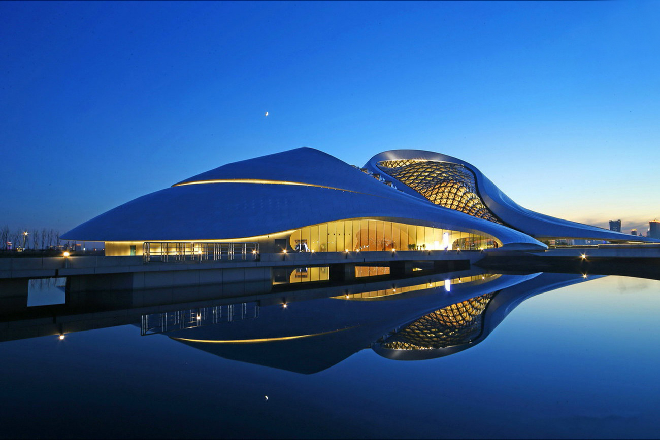 25--《哈尔滨大剧院夜景 》 王滨志.jpg