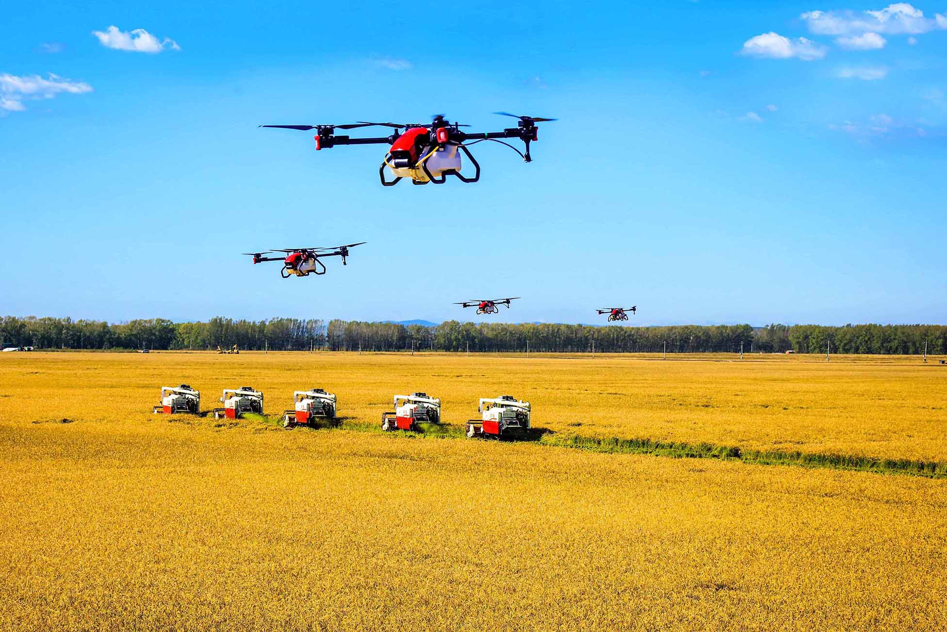 30--《立体作业》 崔 杰 摄.jpg