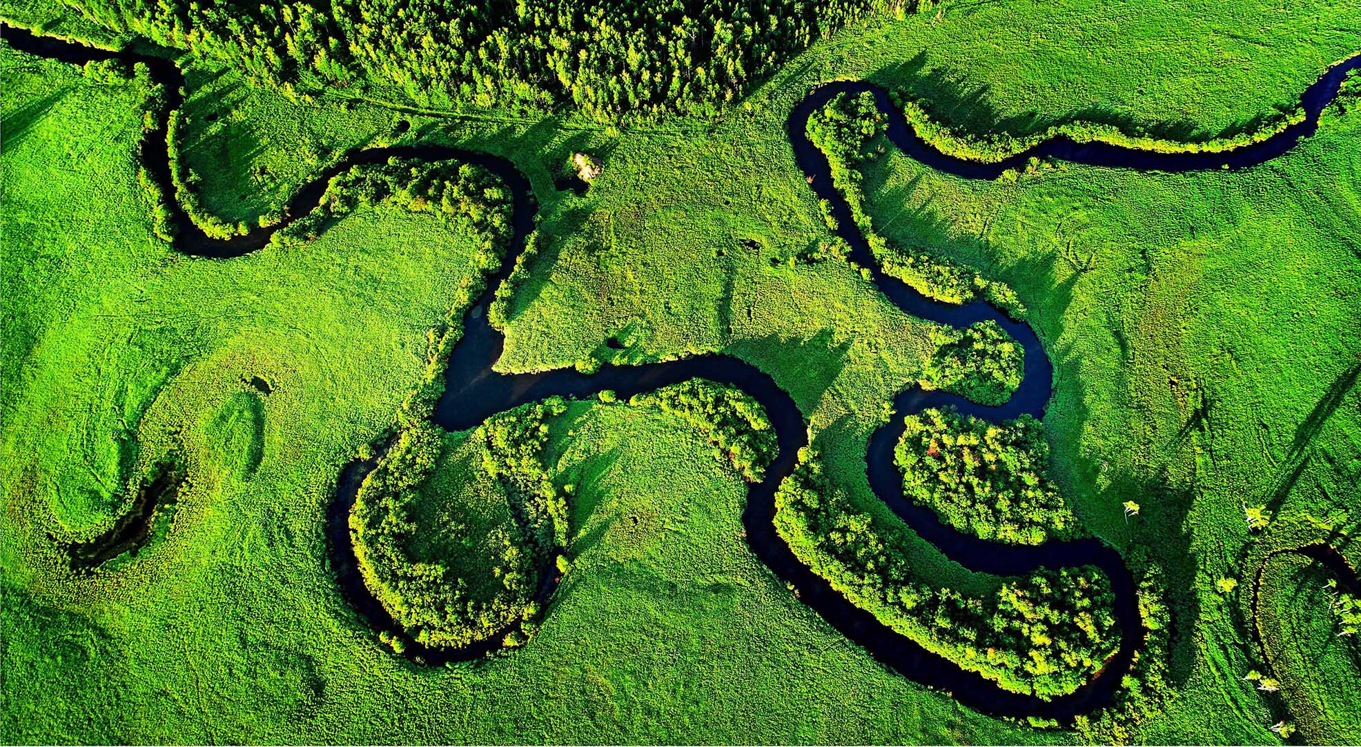 01--《南翁河湿地》雷 声.jpg