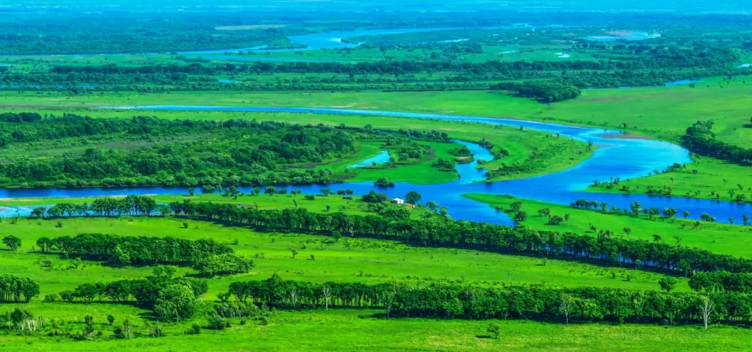 亢明 《湿地风光》 摄影.webp.jpg