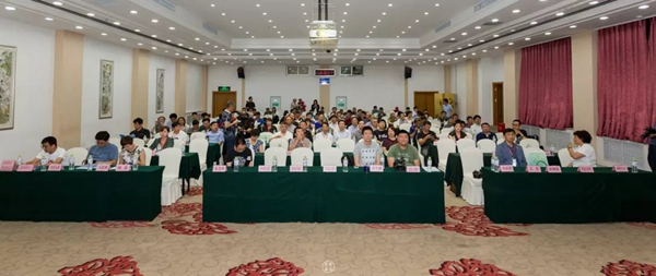 IMG_2781.JPG