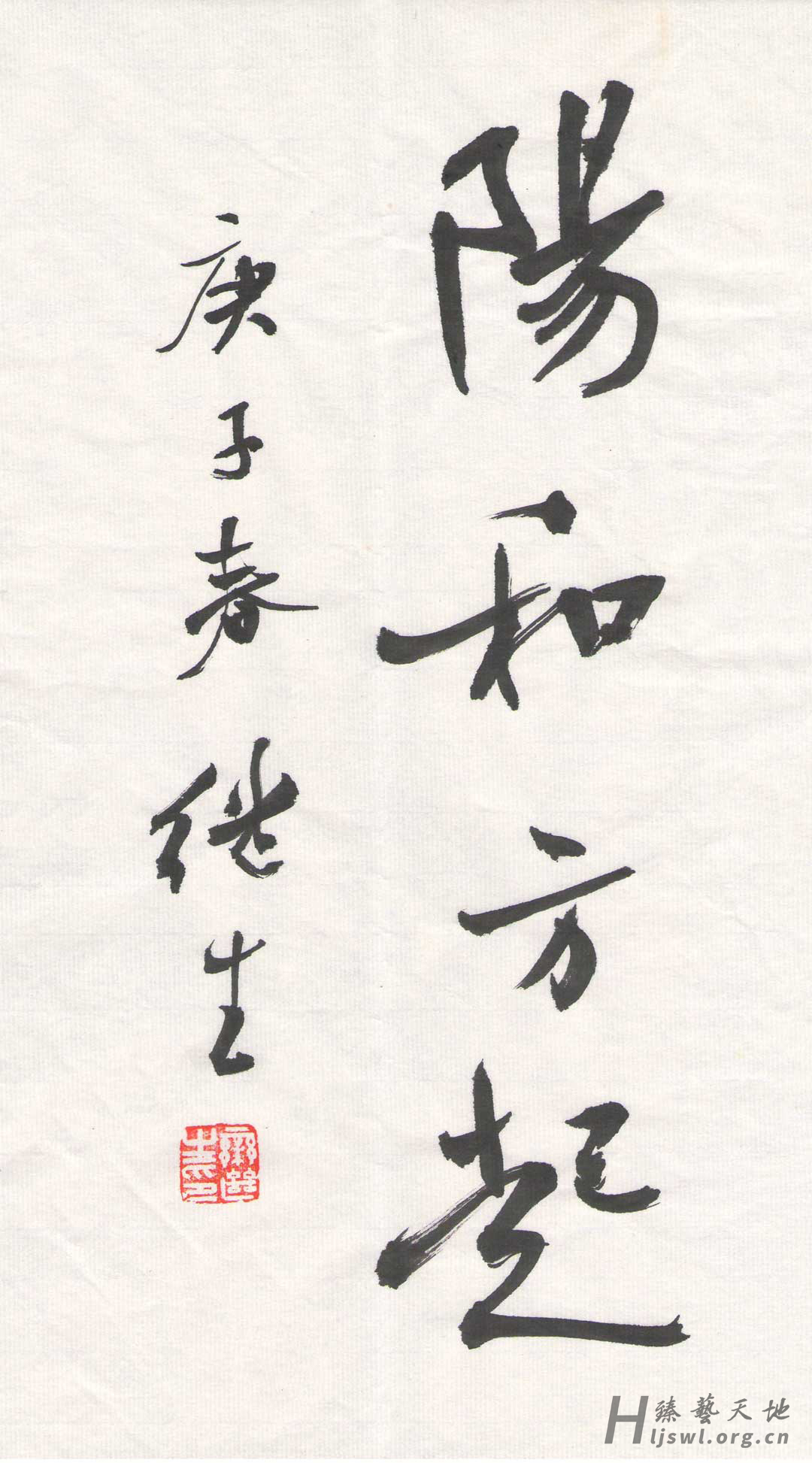 阳和方起 拷贝.jpg