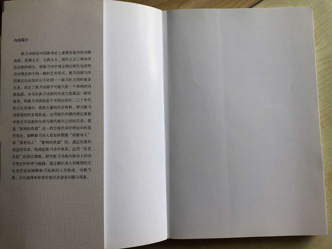 叶红代表作图片4.jpg
