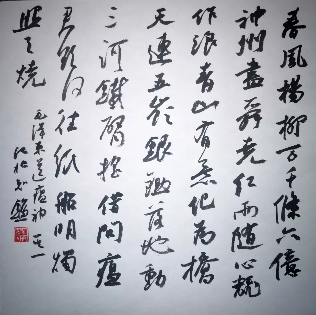 金泽珊.webp.jpg