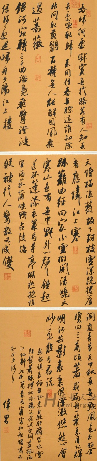84.徐伟男.jpg